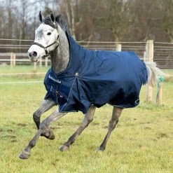 Horze Avalanche Winter Rug 300g 39 Horze Avalanche Winter Rug 300g -Sports - Horse Equipment Shop 24565 PDB 1
