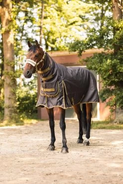 Horze Avalanche Combo Winter Rug, 350g 30 Horze Avalanche Combo Winter Rug, 350g -Sports - Horse Equipment Shop 24566 784 09
