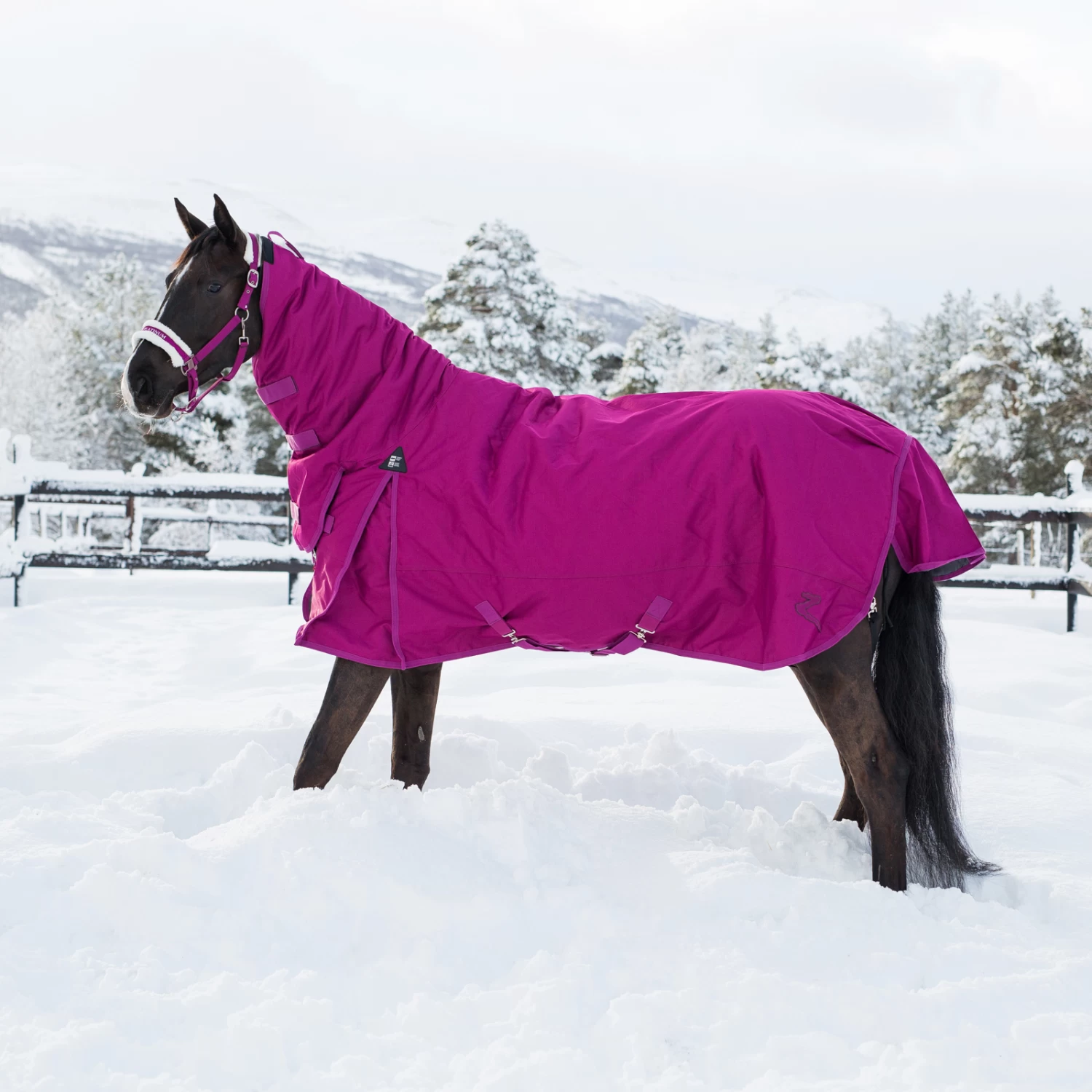 Horze Avalanche Combo Winter Rug, 350g 19 Horze Avalanche Combo Winter Rug, 350g - Image 17