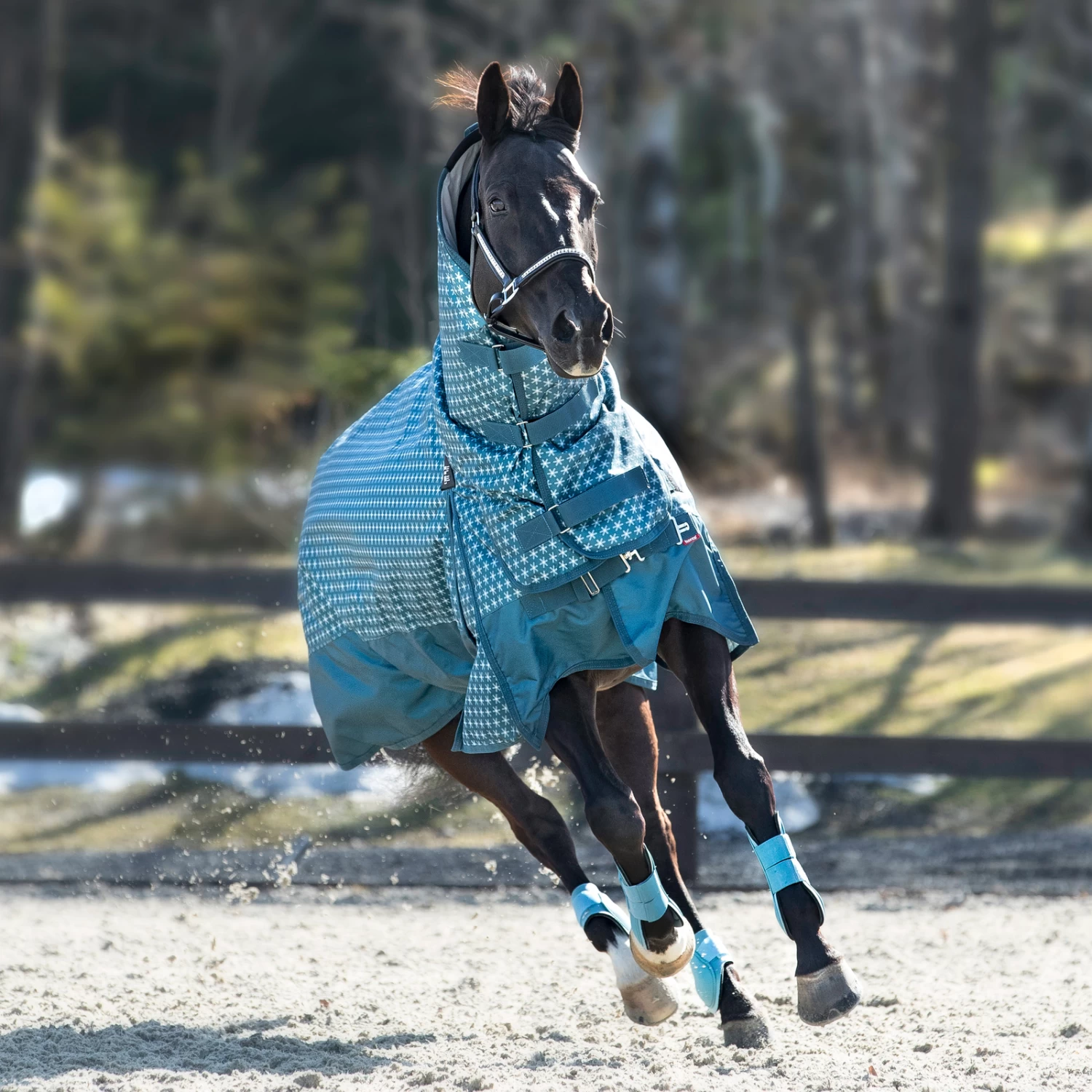 Horze Avalanche Combo Winter Rug, 350g 12 Horze Avalanche Combo Winter Rug, 350g - Image 10