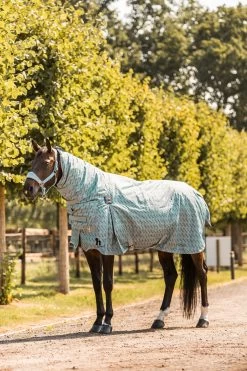 Horze Avalanche Combo Winter Rug, 350g 36 Horze Avalanche Combo Winter Rug, 350g -Sports - Horse Equipment Shop 24566 SIB 3