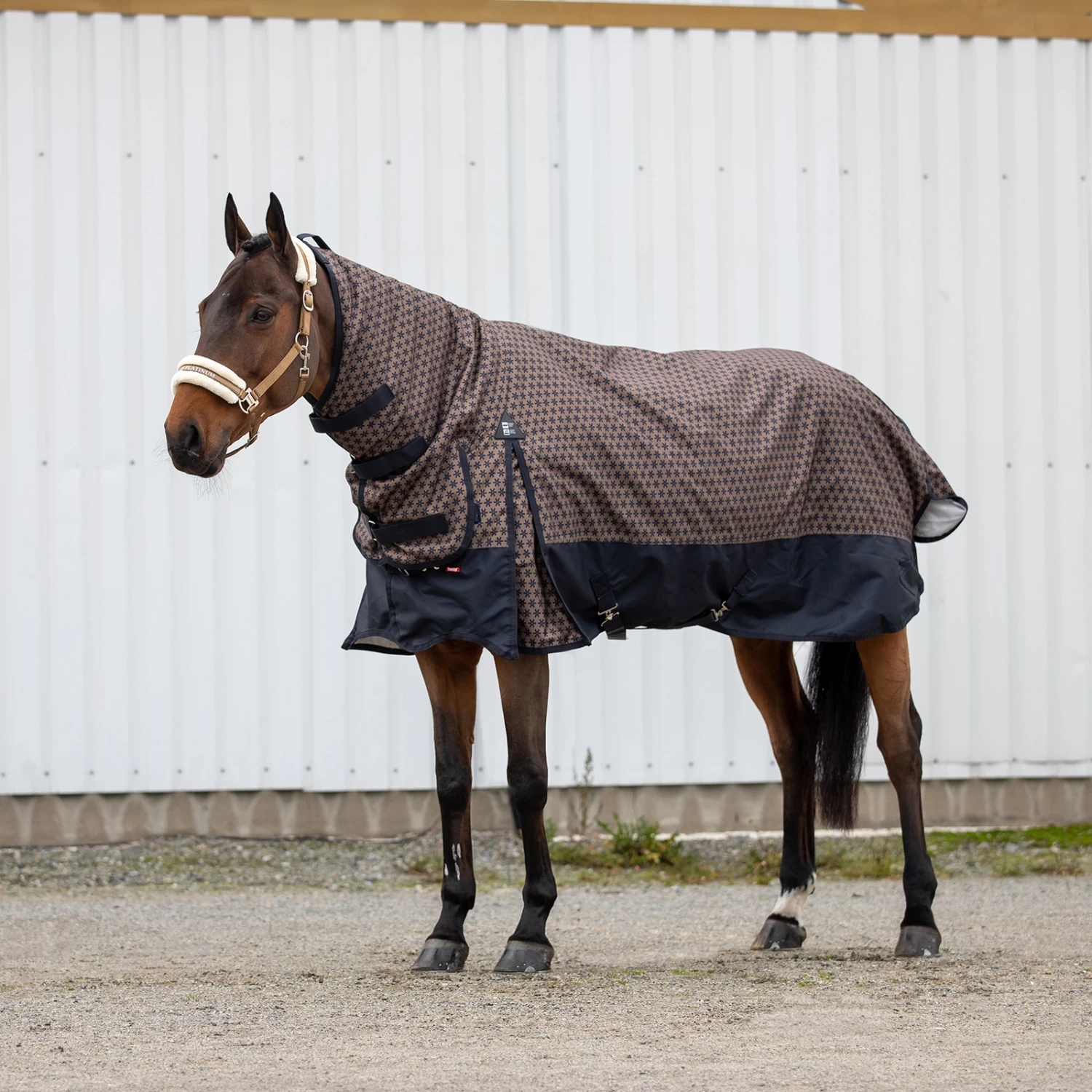 Horze Avalanche Combowinter 150gsm 5 Horze Avalanche Combowinter 150gsm - Image 3