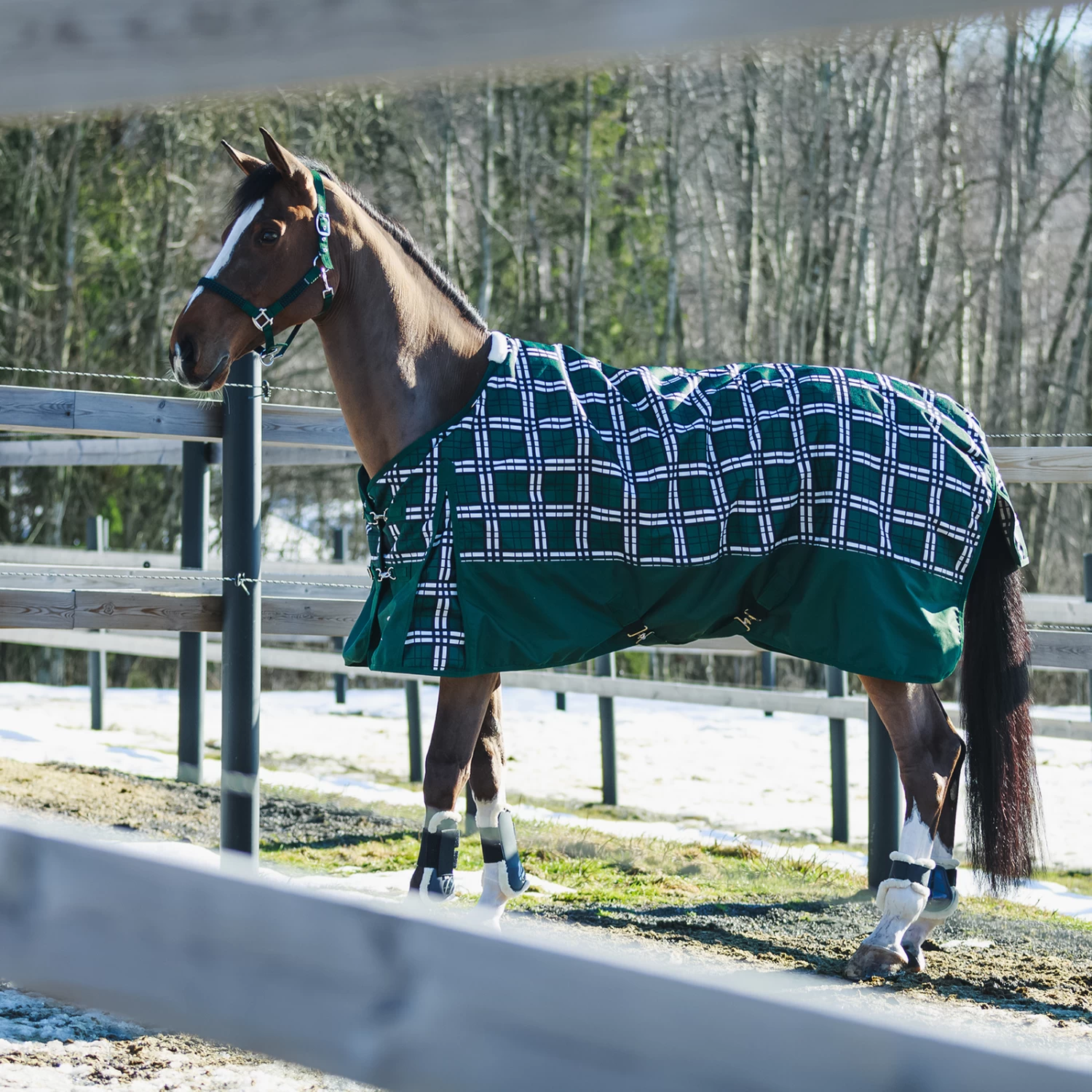 Horze Nevada Heavyweight Turnout Rug, 400g 7 Horze Nevada Heavyweight Turnout Rug, 400g - Image 5