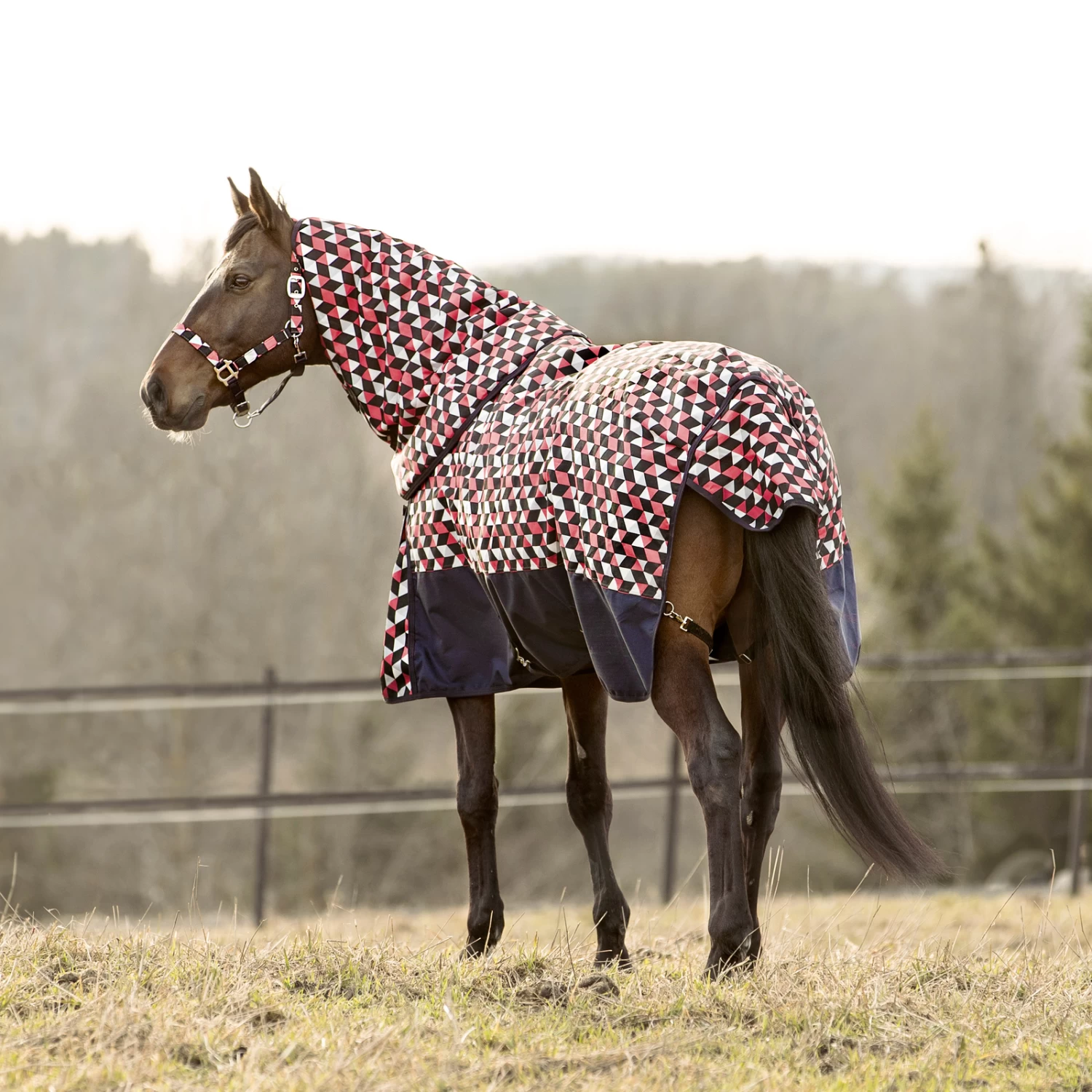Horze Nevada Heavyweight Turnout Rug, 400g 21 Horze Nevada Heavyweight Turnout Rug, 400g - Image 19