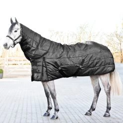 Horze Nevada Winter Stable Rug, 200g 18 Horze Nevada Winter Stable Rug, 200g -Sports - Horse Equipment Shop 24572 BL 5
