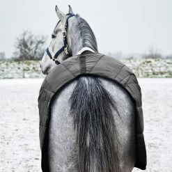 Horze Nevada Winter Stable Rug, 200g 19 Horze Nevada Winter Stable Rug, 200g -Sports - Horse Equipment Shop 24572 BL 6