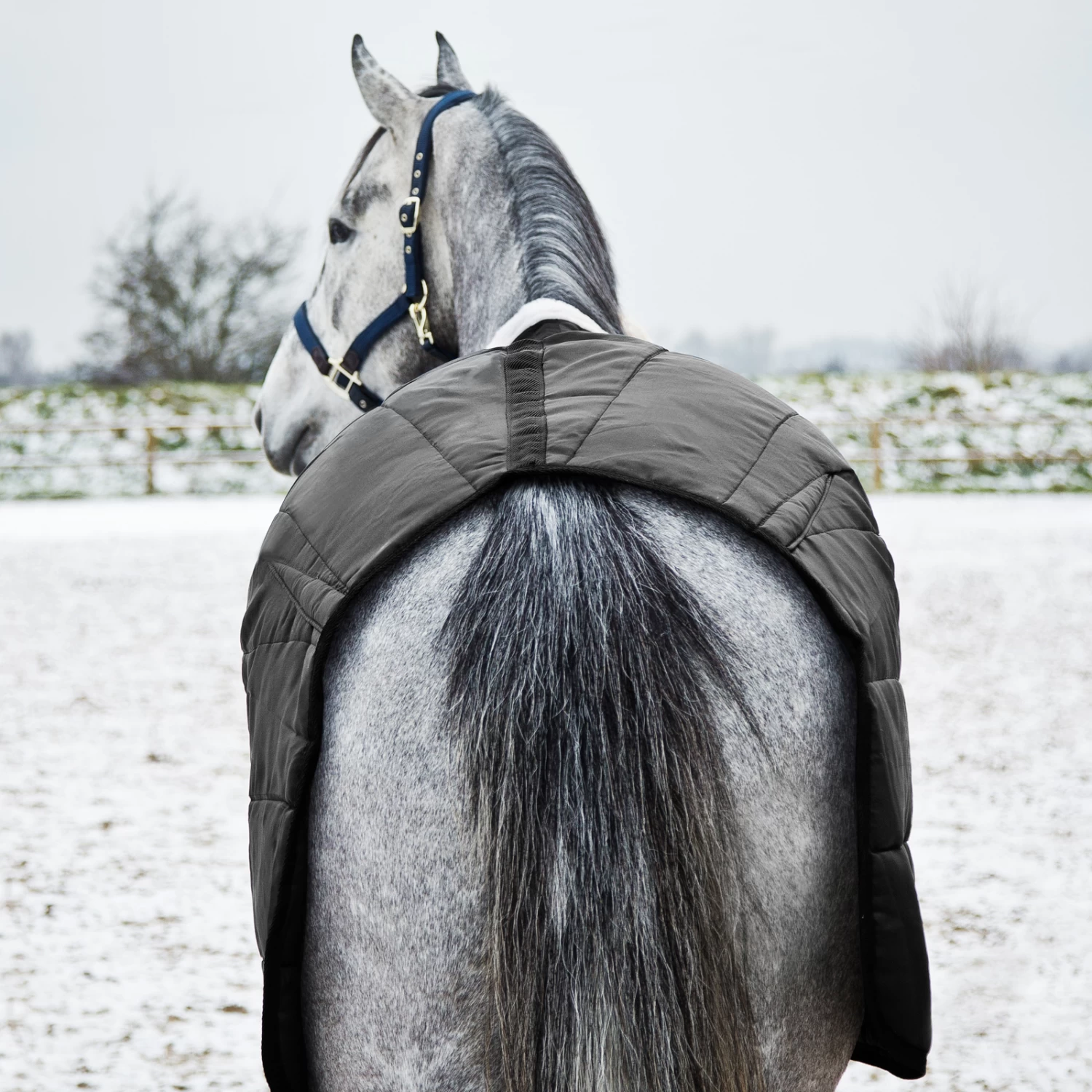 Horze Nevada Winter Stable Rug, 200g 8 Horze Nevada Winter Stable Rug, 200g - Image 6