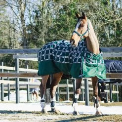 Horze Nevada Medium Weight Turnout Rug, 200g 32 Horze Nevada Medium Weight Turnout Rug, 200g -Sports - Horse Equipment Shop 24574 BTGR VDB 3