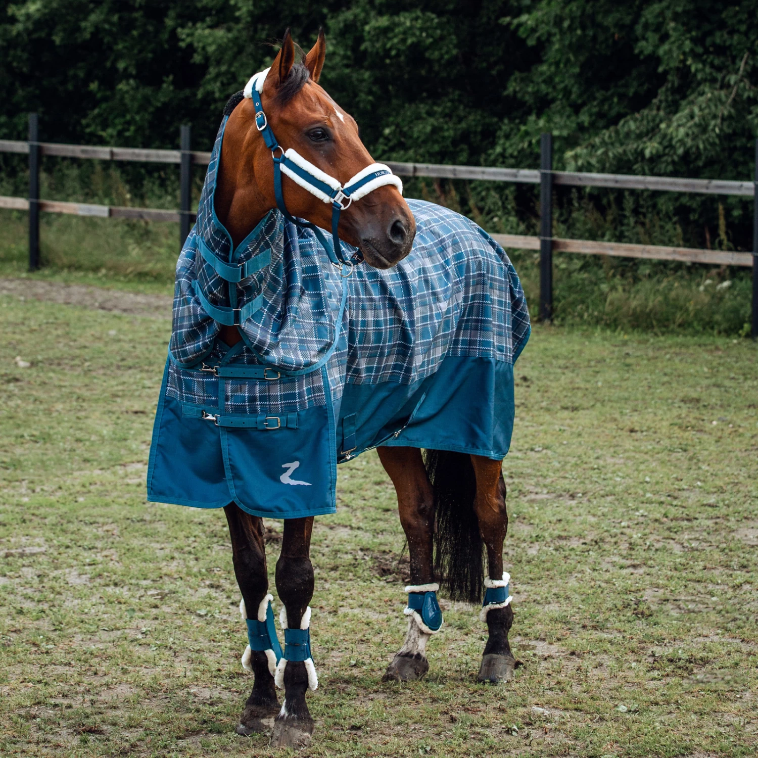 Horze Nevada Medium Weight Turnout Rug, 200g 14 Horze Nevada Medium Weight Turnout Rug, 200g - Image 12