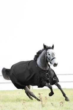 Horze Nevada Medium Weight Turnout Rug, 200g 26 Horze Nevada Medium Weight Turnout Rug, 200g -Sports - Horse Equipment Shop 24574 bl 02