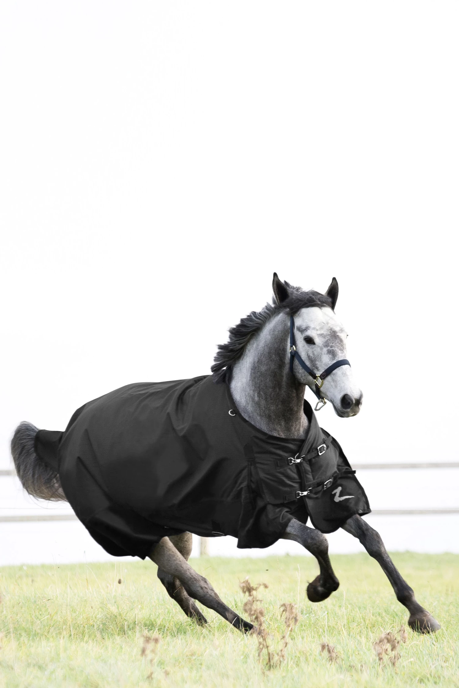 Horze Nevada Medium Weight Turnout Rug, 200g 7 Horze Nevada Medium Weight Turnout Rug, 200g - Image 5