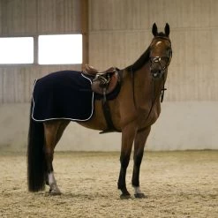 Horze Vail Wool Riding Rug -Sports - Horse Equipment Shop 24612 PDB 5