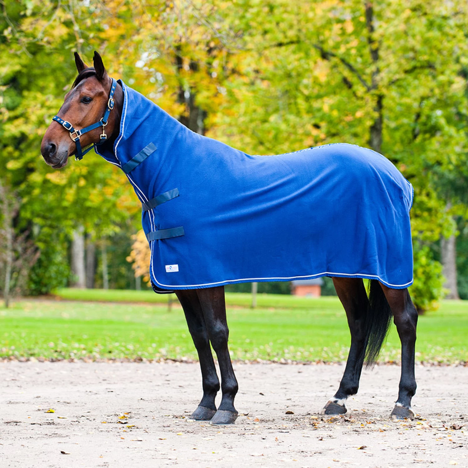 Finntack Pro High Neck Cooler Rug 3 Finntack Pro High Neck Cooler Rug