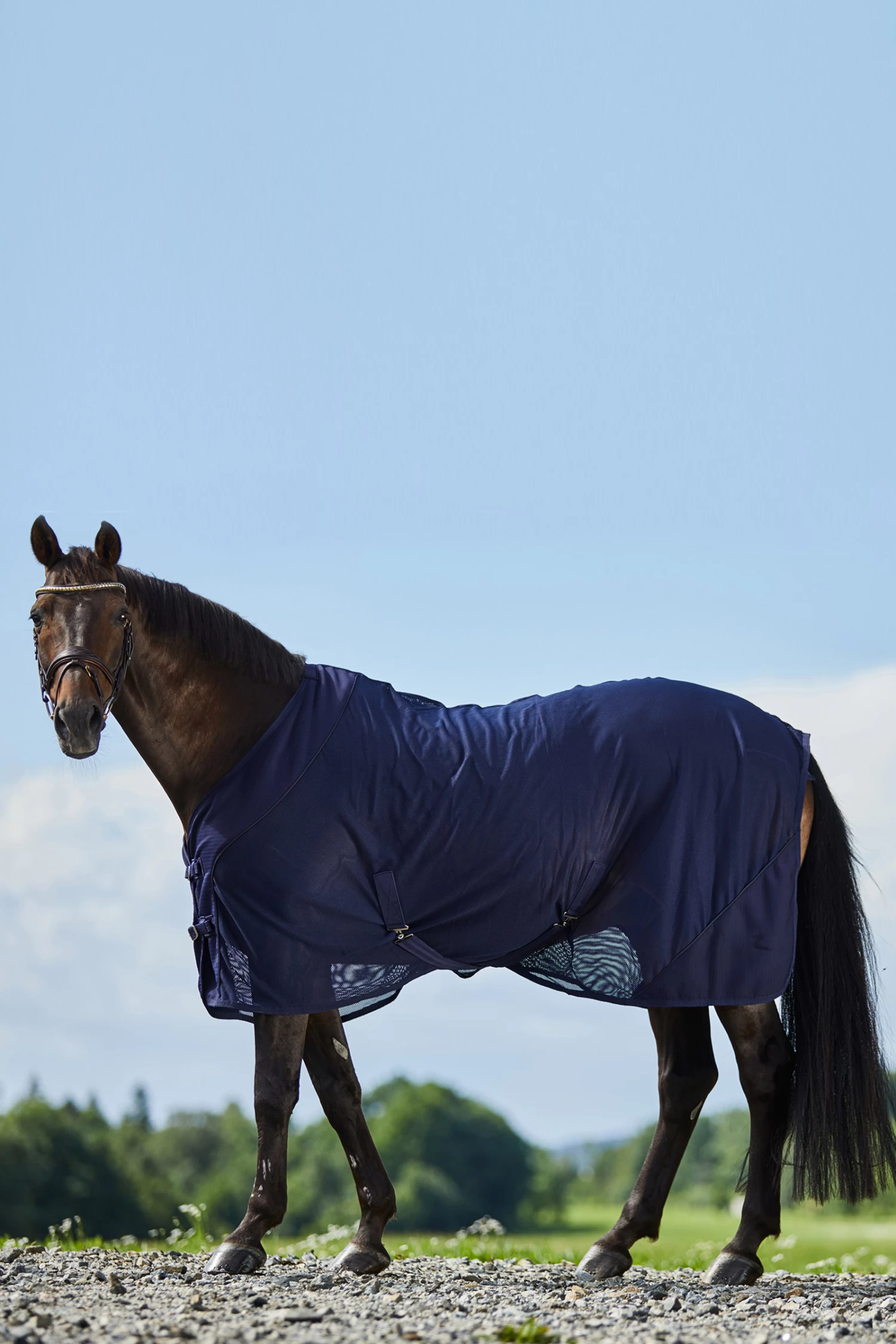 Horze Turin Mesh Cooler Rug 6 Horze Turin Mesh Cooler Rug - Image 4