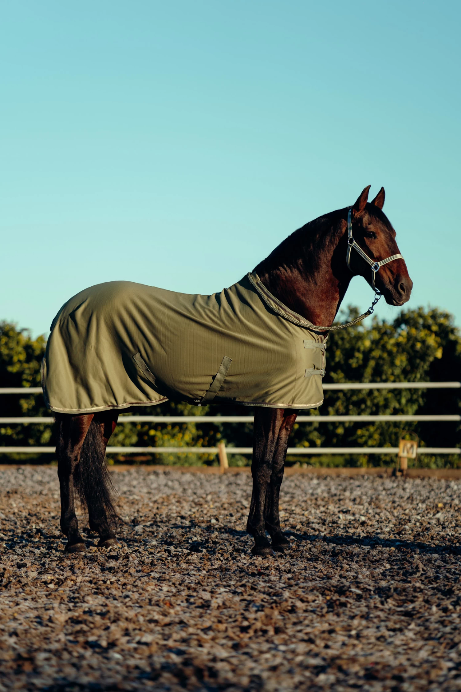 Horze Munich Summer Rug With Metallic Detail 7 Horze Munich Summer Rug With Metallic Detail - Image 5