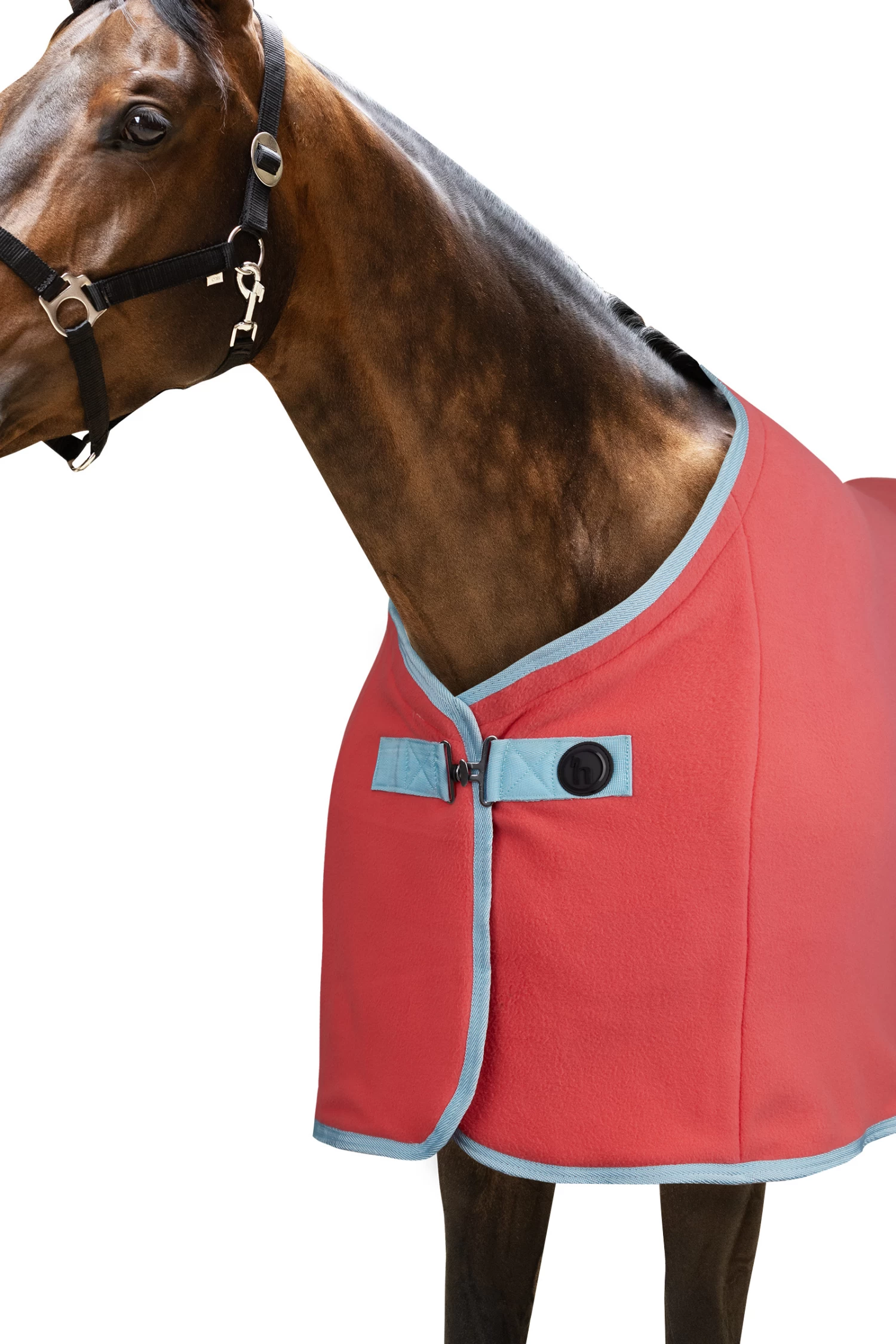 Horze Ice Water Fleece Cooler 4 Horze Ice Water Fleece Cooler - Image 2