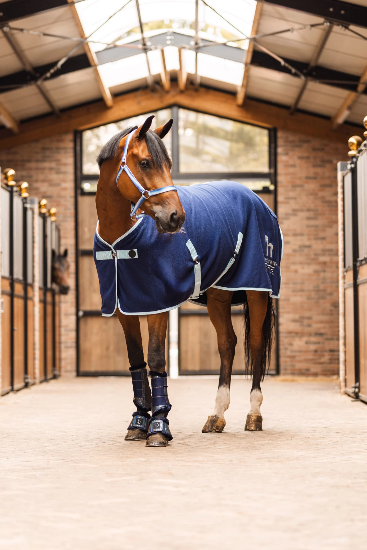 Horze Ice Water Fleece Cooler 15 Horze Ice Water Fleece Cooler - Image 13