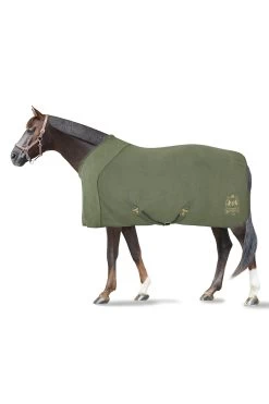 B Vertigo Wellington Cooler Rug
