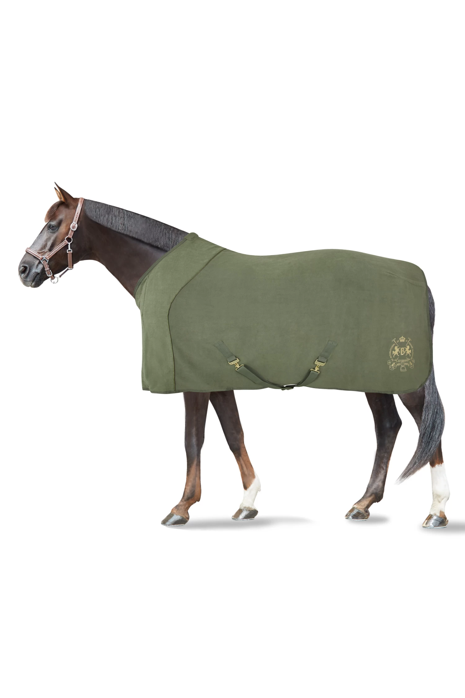 B Vertigo Wellington Cooler Rug 3 B Vertigo Wellington Cooler Rug