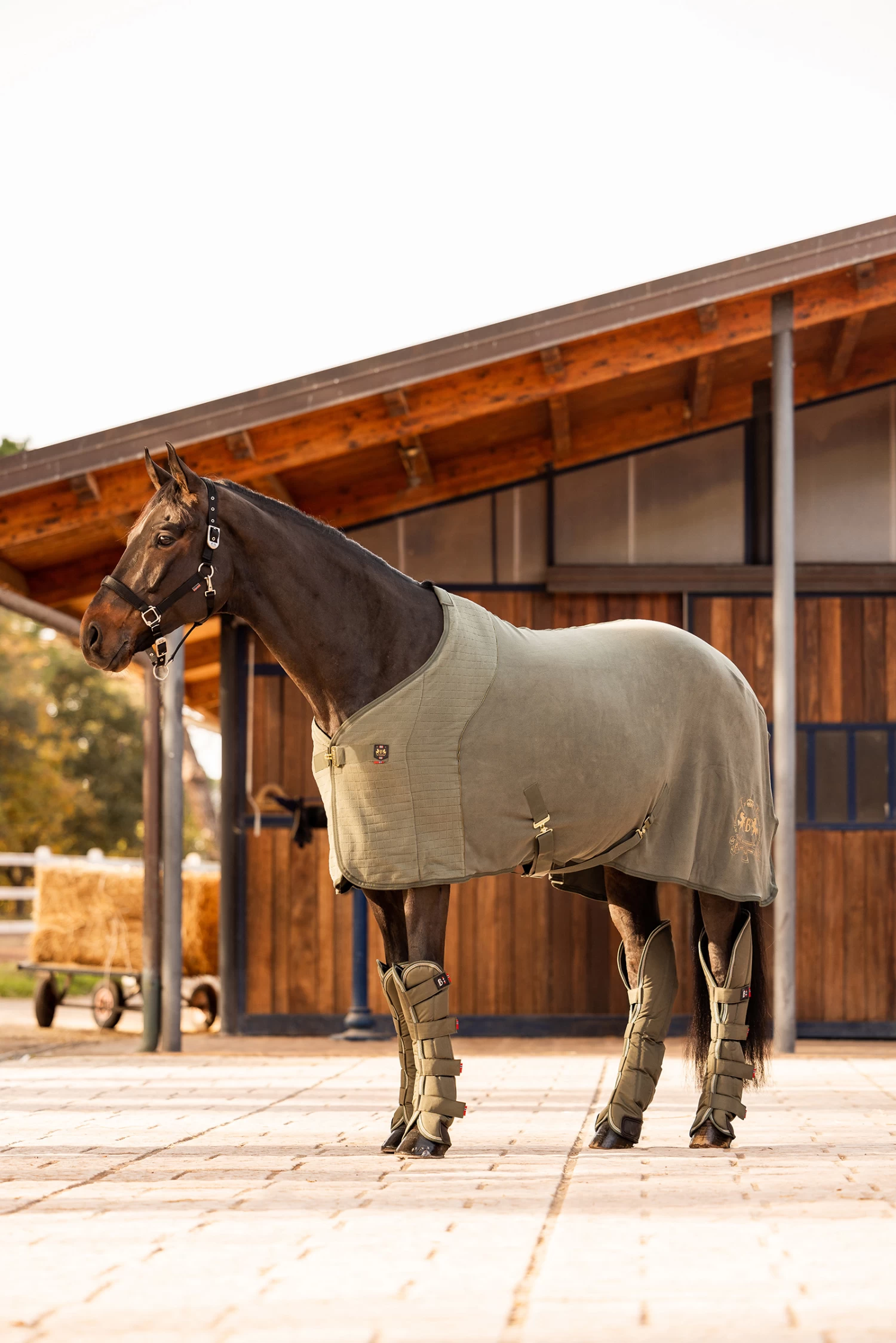 B Vertigo Wellington Cooler Rug 8 B Vertigo Wellington Cooler Rug - Image 6