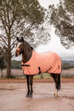 Horze Trixi Pony Fleece Cooler Rug 19 Horze Trixi Pony Fleece Cooler Rug -Sports - Horse Equipment Shop 24691 333 06
