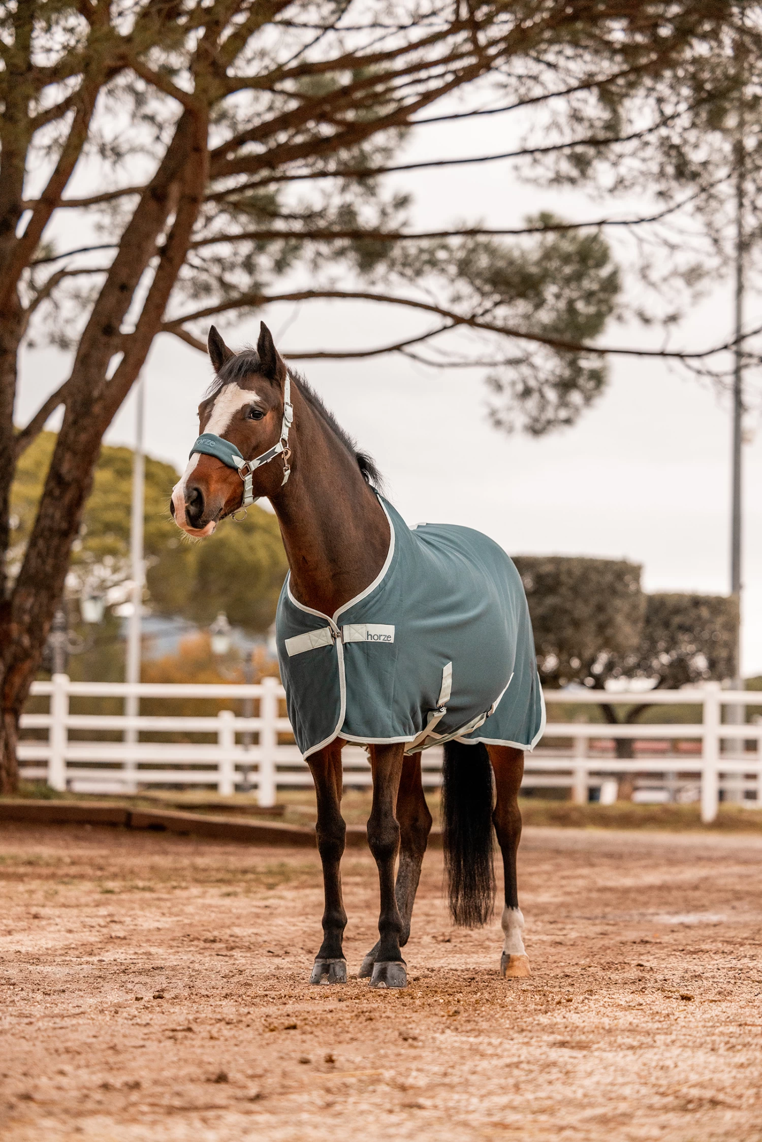 Horze Trixi Pony Fleece Cooler Rug 14 Horze Trixi Pony Fleece Cooler Rug - Image 12