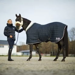 B Vertigo Theo Stable Rug, 150g