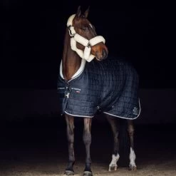 B Vertigo Theo Stable Rug, 150g 16 B Vertigo Theo Stable Rug, 150g -Sports - Horse Equipment Shop 24692 VDB 6