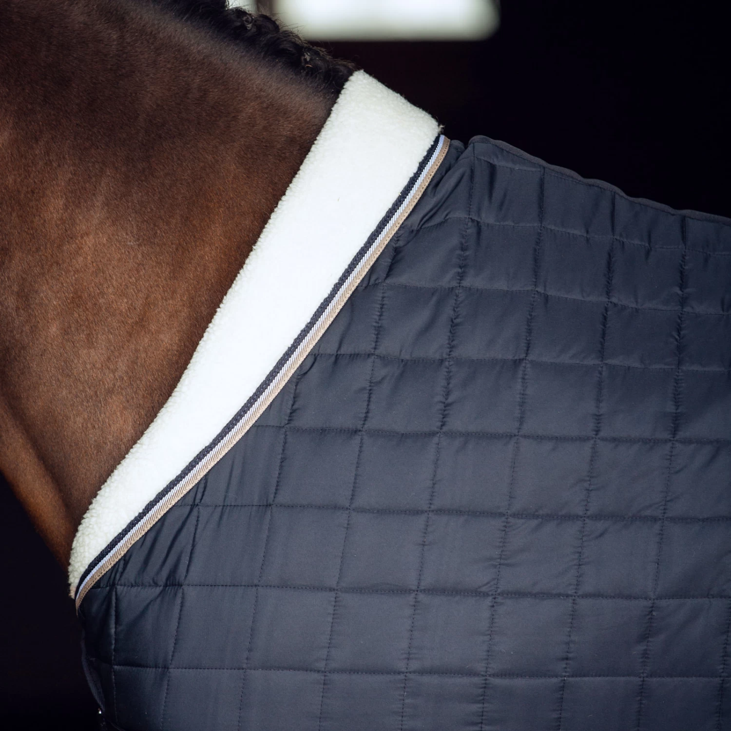 B Vertigo Theo Stable Rug, 150g 10 B Vertigo Theo Stable Rug, 150g - Image 8