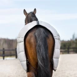 B Vertigo Tim Stable Rug, 400g 18 B Vertigo Tim Stable Rug, 400g -Sports - Horse Equipment Shop 24795 SEG BDRE 6