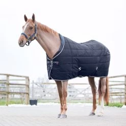 B Vertigo Tim Stable Rug, 400g 19 B Vertigo Tim Stable Rug, 400g -Sports - Horse Equipment Shop 24795 VDB 1