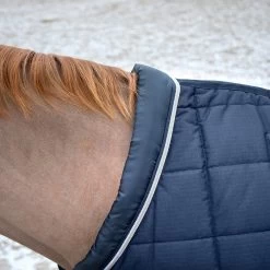 B Vertigo Tim Stable Rug, 400g 22 B Vertigo Tim Stable Rug, 400g -Sports - Horse Equipment Shop 24795 VDB 4