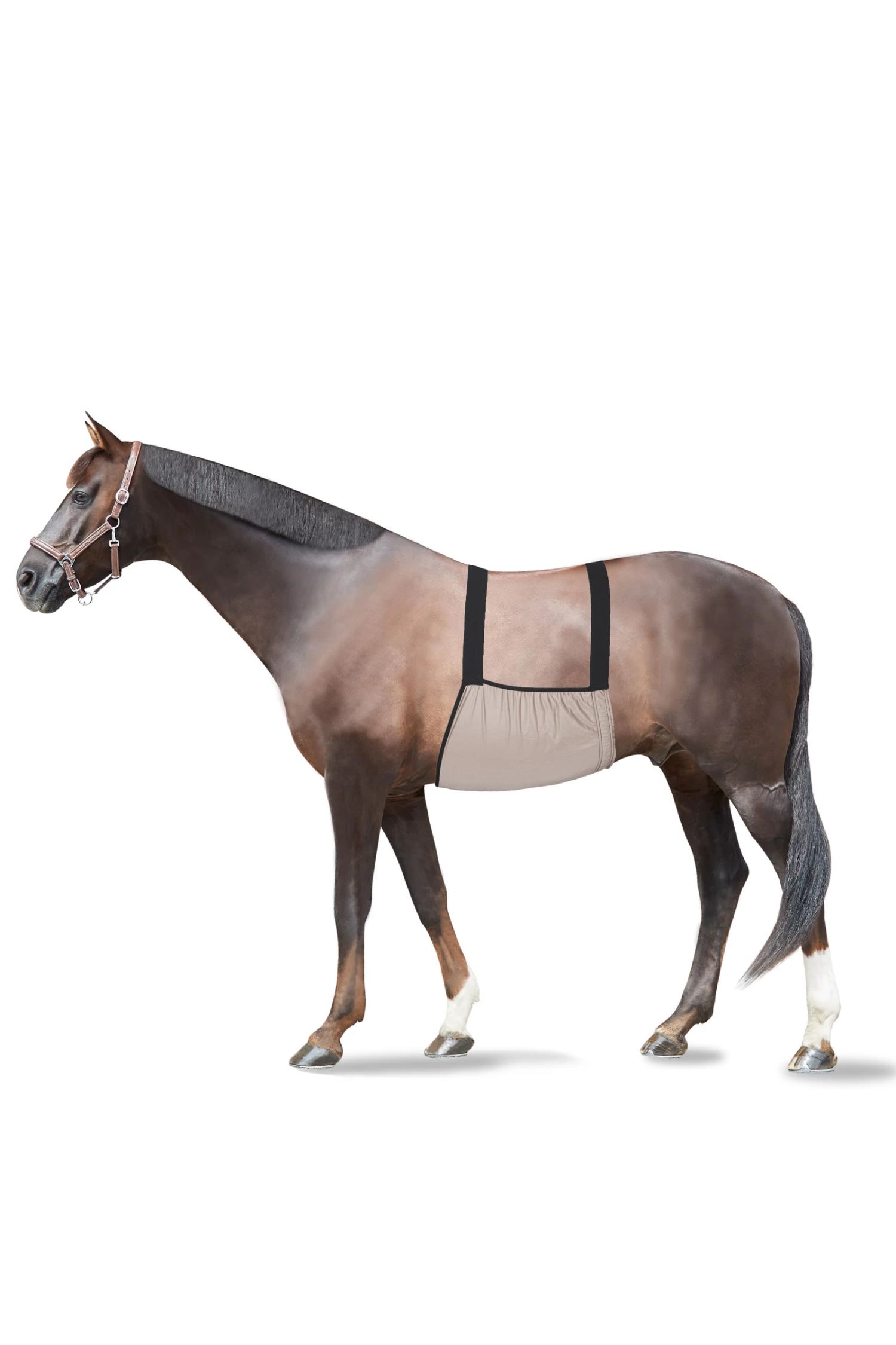 Horze Sweet Itch Rug 4 Horze Sweet Itch Rug - Image 2