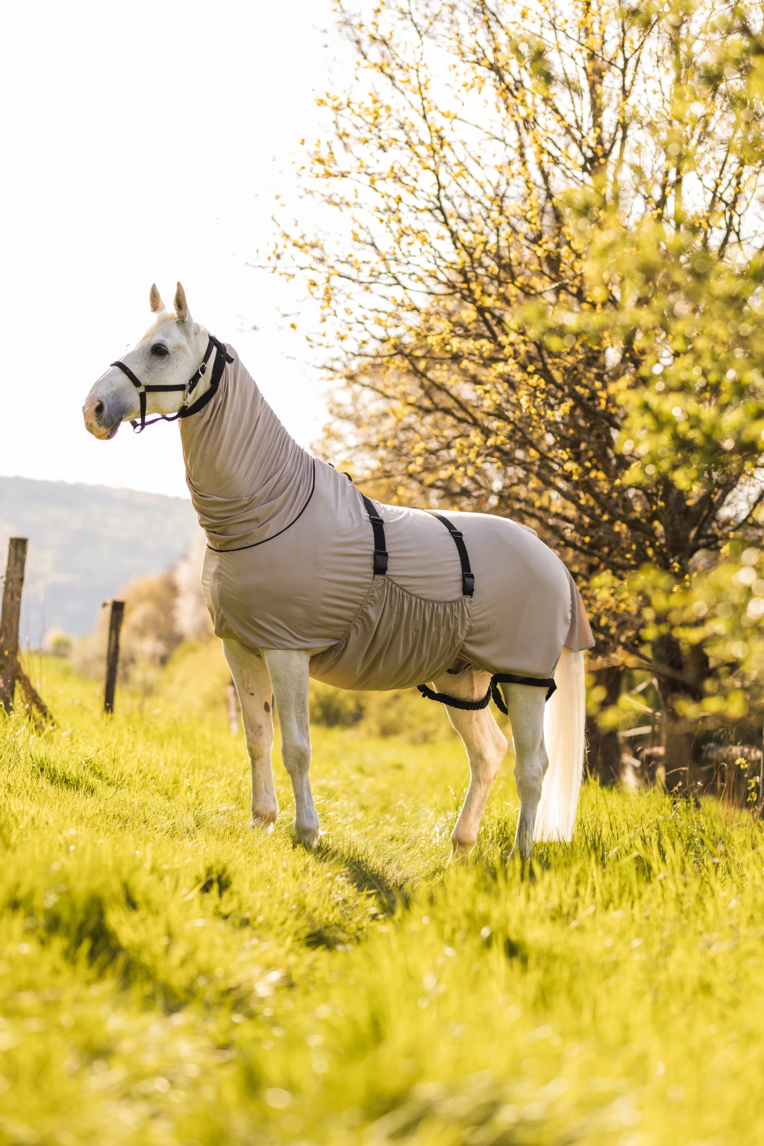 Horze Sweet Itch Rug 8 Horze Sweet Itch Rug - Image 6