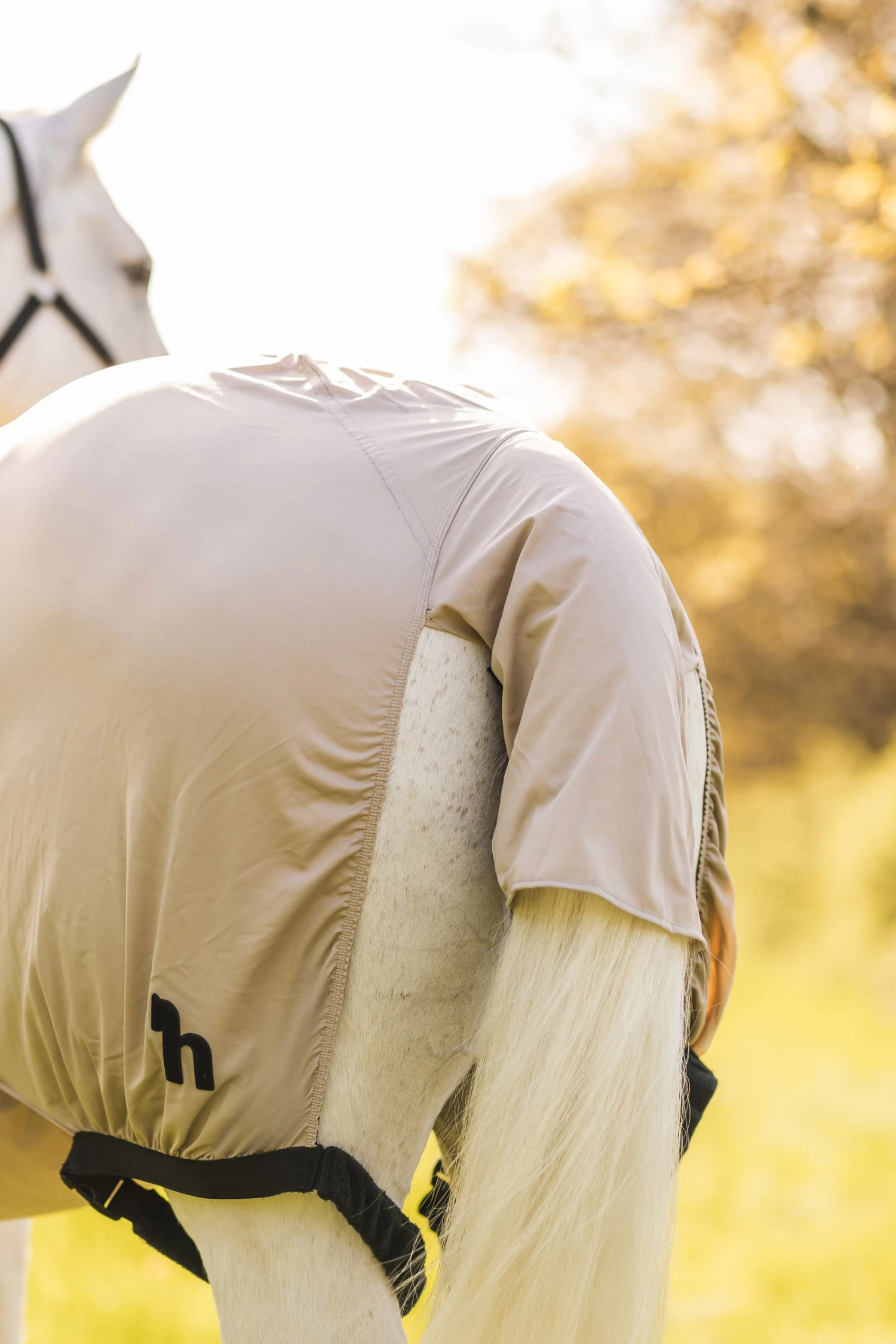 Horze Sweet Itch Rug 12 Horze Sweet Itch Rug - Image 10