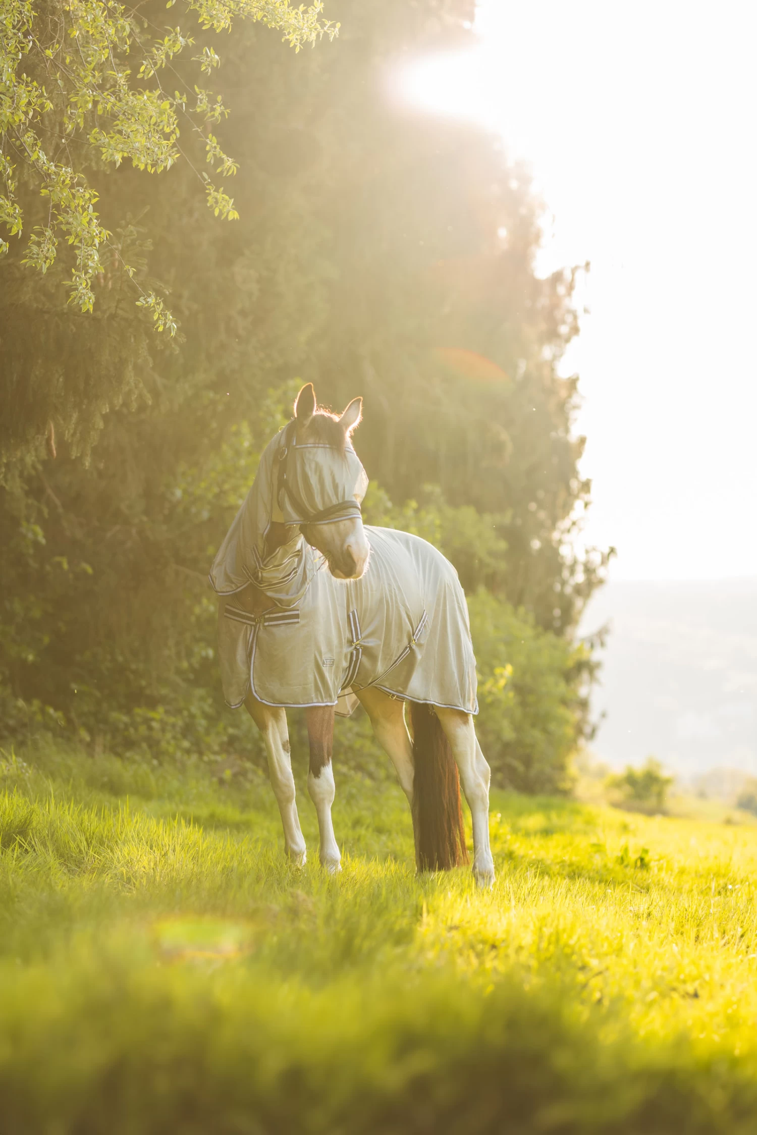 Horze La Pampa Fly Set 14 Horze La Pampa Fly Set - Image 12