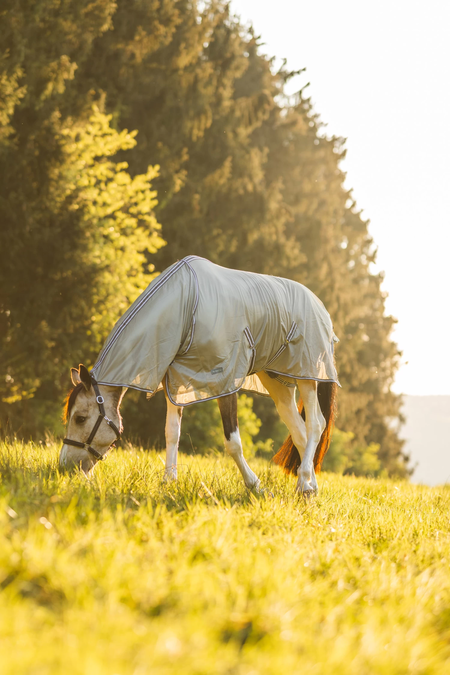 Horze La Pampa Fly Set 15 Horze La Pampa Fly Set - Image 13