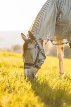 Horze La Pampa Fly Set 31 Horze La Pampa Fly Set -Sports - Horse Equipment Shop 24817 g 14