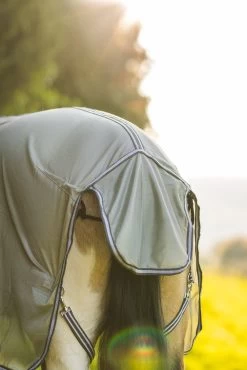 Horze La Pampa Fly Set 33 Horze La Pampa Fly Set -Sports - Horse Equipment Shop 24817 g 16