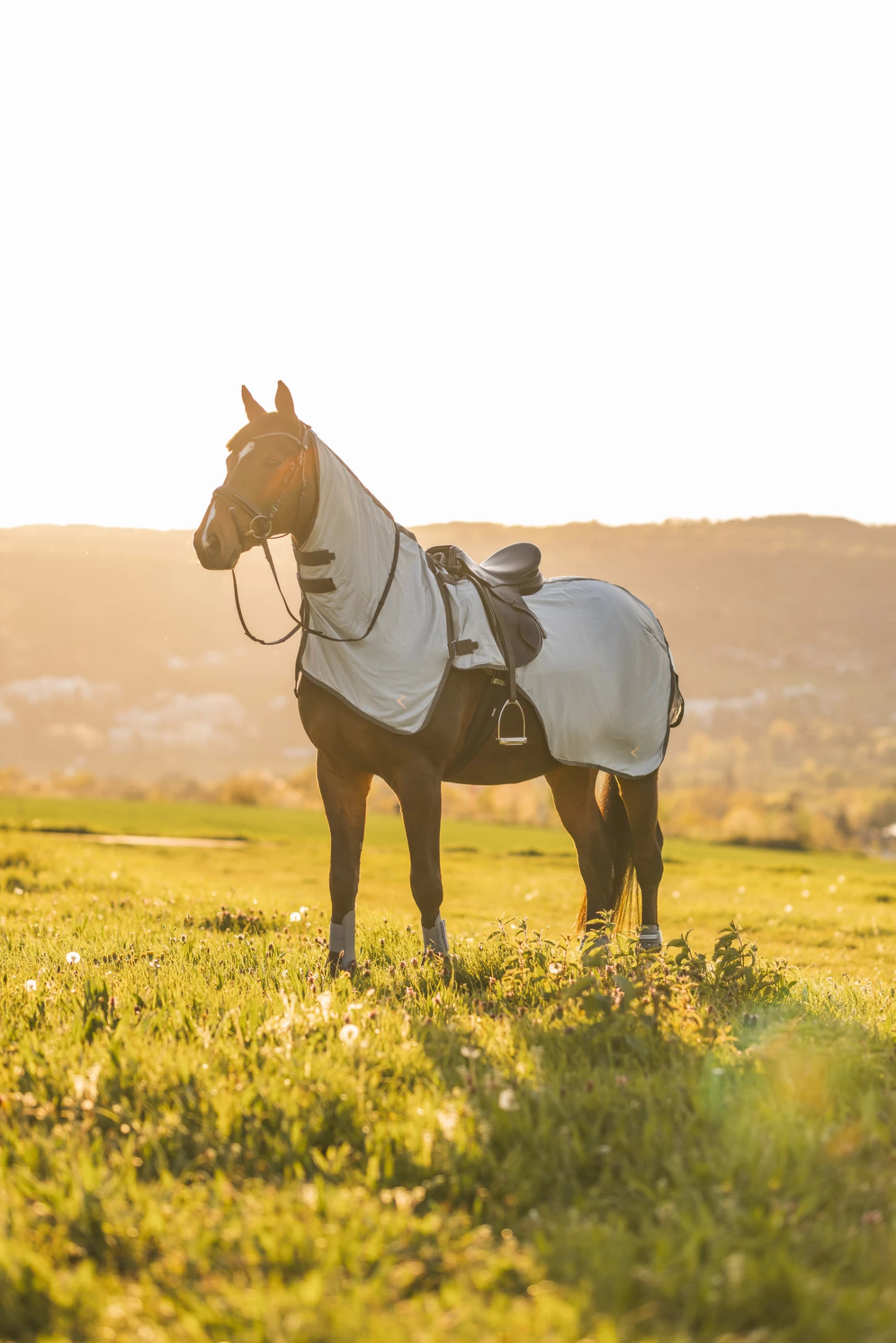 Horze Eira Fly Riding Rug With Detachable Neck 12 Horze Eira Fly Riding Rug With Detachable Neck - Image 10