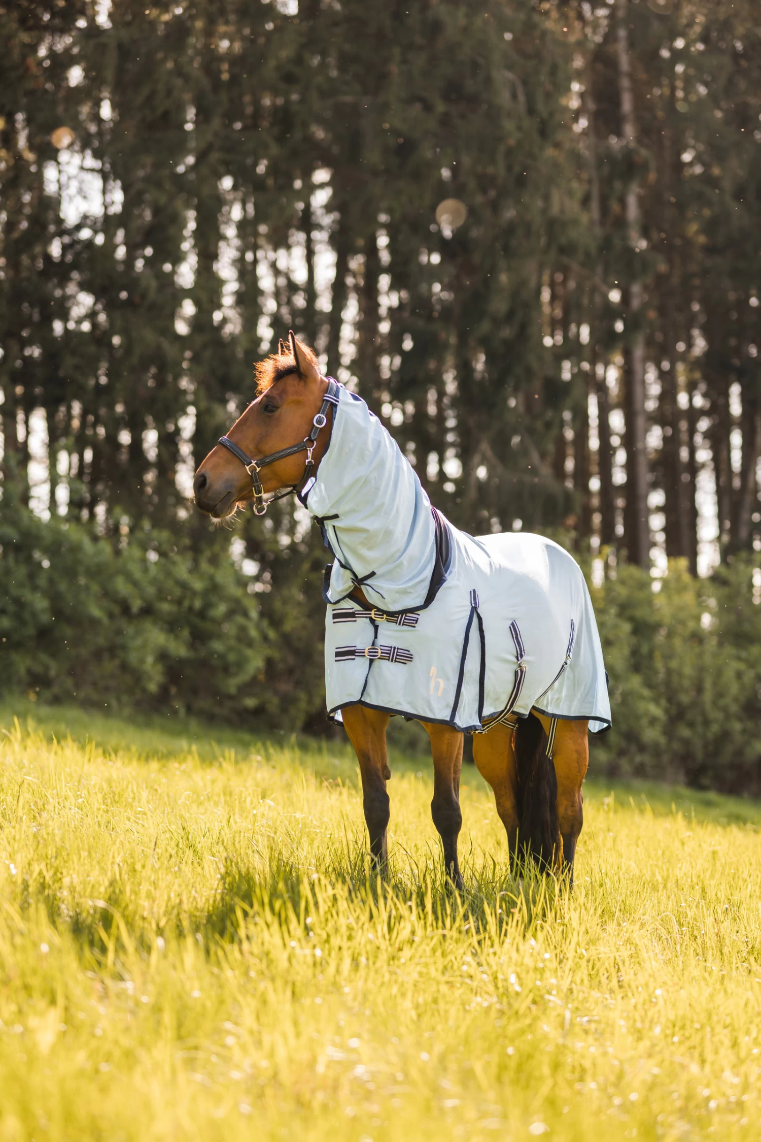 Horze Freja Fly Rug With Combo Neck 10 Horze Freja Fly Rug With Combo Neck - Image 8