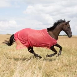 Horze Orleans Fly Rug -Sports - Horse Equipment Shop 24835 SCPI 1