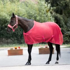 Horze Orleans Fly Rug -Sports - Horse Equipment Shop 24835 SCPI 5