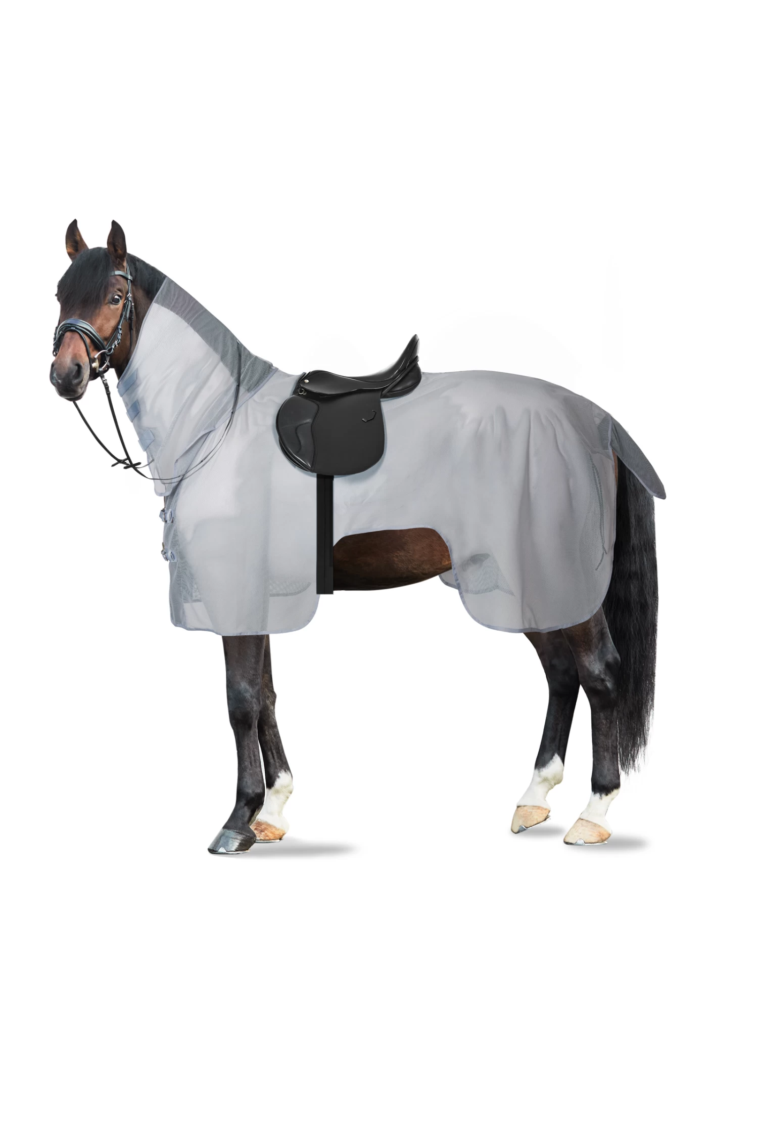 Horze Orleans Fly Riding Rug 3 Horze Orleans Fly Riding Rug