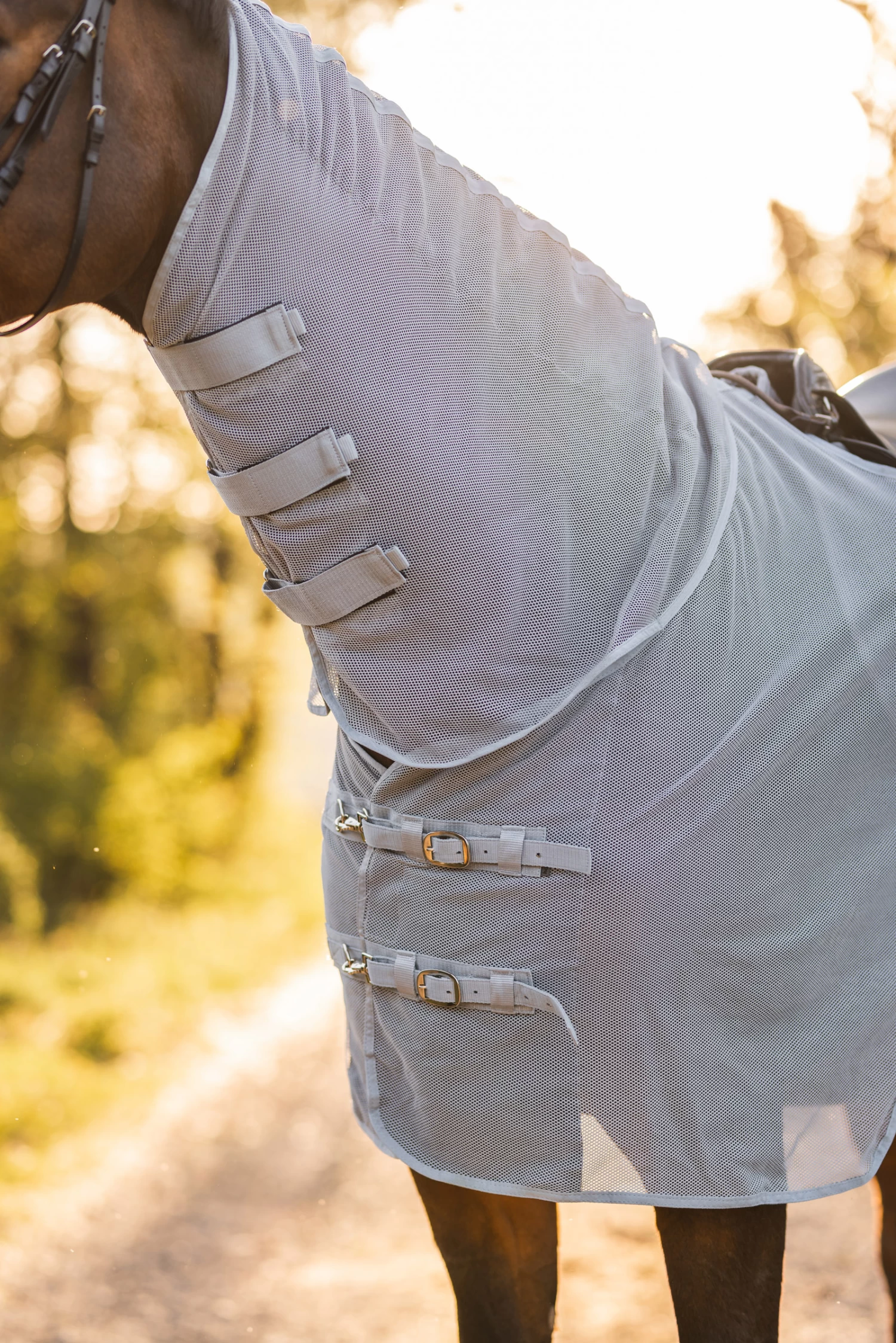 Horze Orleans Fly Riding Rug 10 Horze Orleans Fly Riding Rug - Image 8