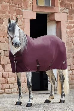 Horze Monster Pony Fleece Rug -Sports - Horse Equipment Shop 24842 FPU 4