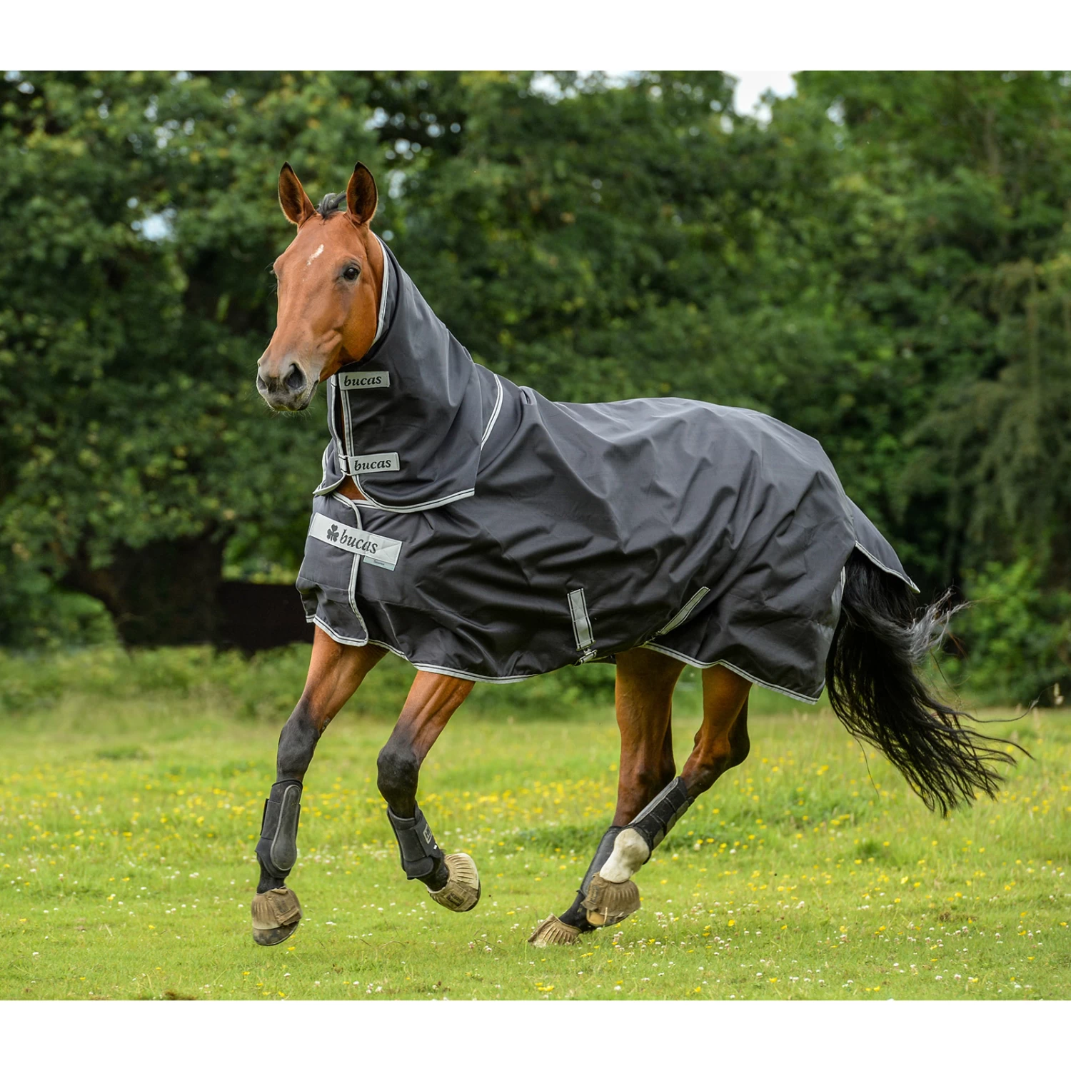 Bucas Smartex Combi Neck, 0g 7 Bucas Smartex Combi Neck, 0g - Image 5