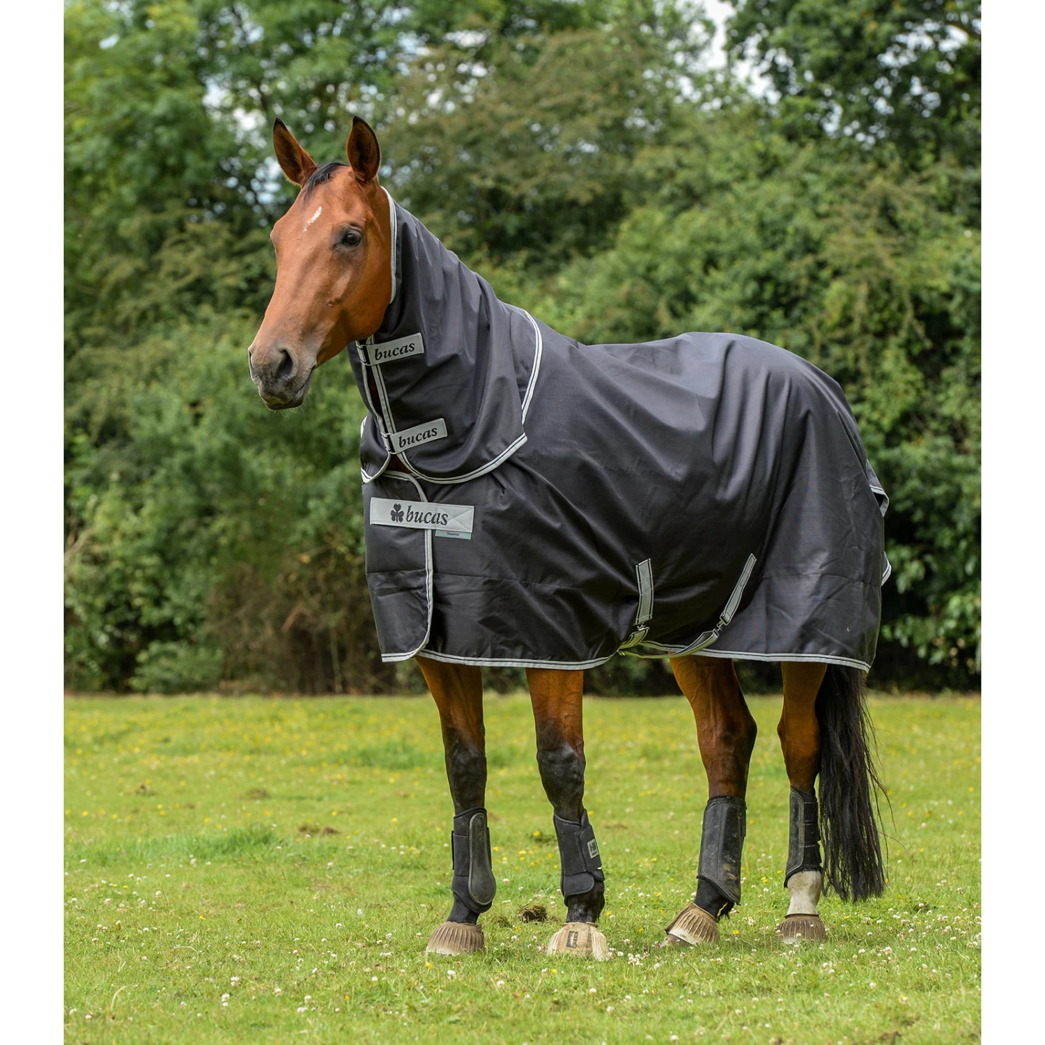 Bucas Smartex Combi Neck, 0g 9 Bucas Smartex Combi Neck, 0g - Image 7