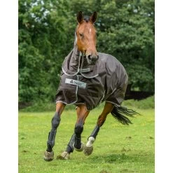 Bucas Smartex Combi Neck, 0g 24 Bucas Smartex Combi Neck, 0g -Sports - Horse Equipment Shop 24860 BR 2