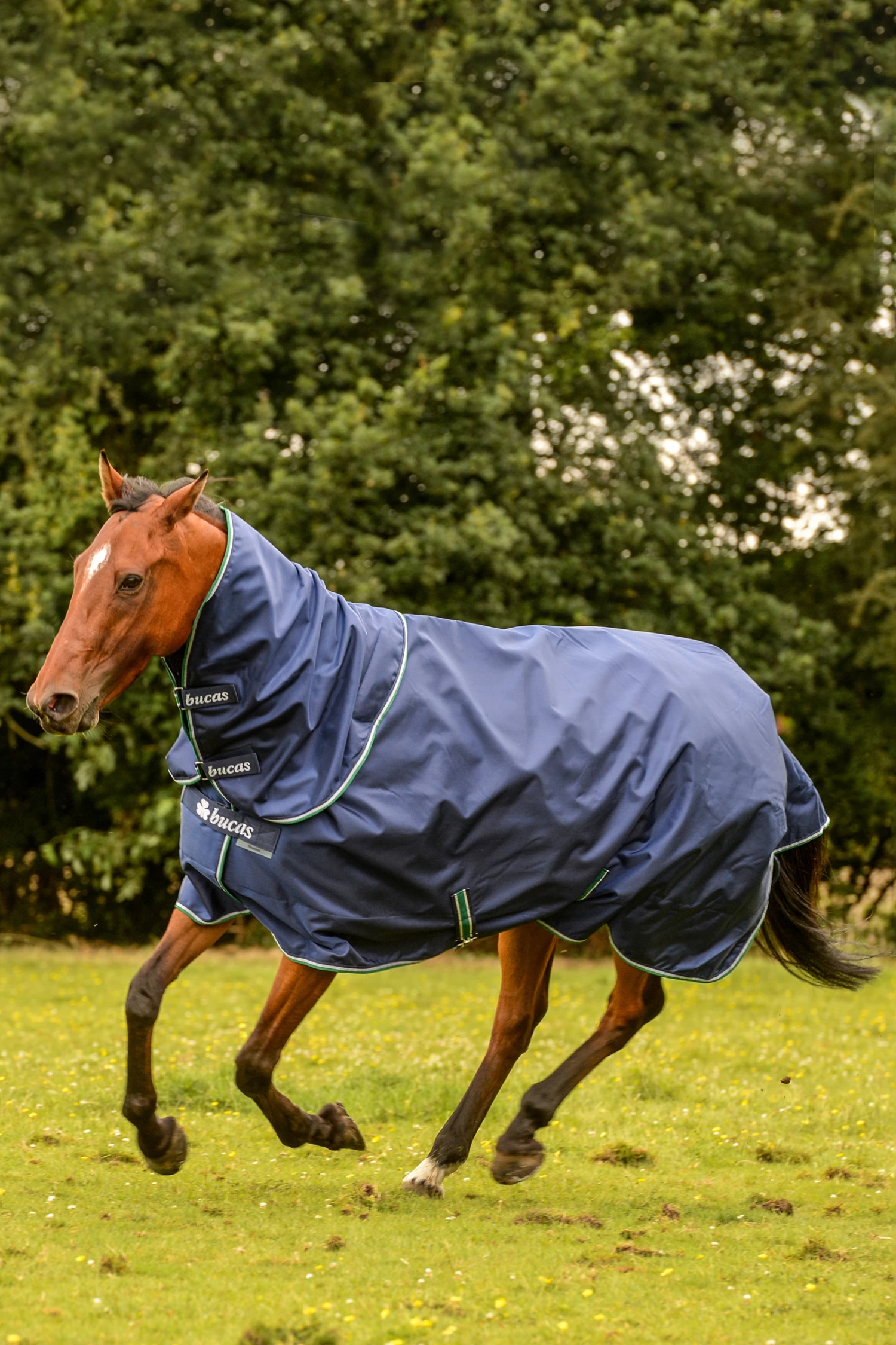 Bucas Smartex Combi Neck, 0g 4 Bucas Smartex Combi Neck, 0g - Image 2